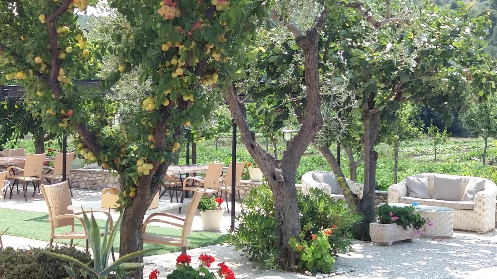 Il Gelso Bianco Ξενοδοχείο Βιέστε Εξωτερικό φωτογραφία